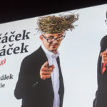 Ovčáček miláček: „nekorektní tingl tangl“ v kinech