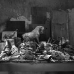 Fotograf Jan Reich versus fotograf Jiří Stach