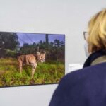 Výstava World Press Photo 21 ve vídeňské galerii WestLicht ještě do 7.11.2021