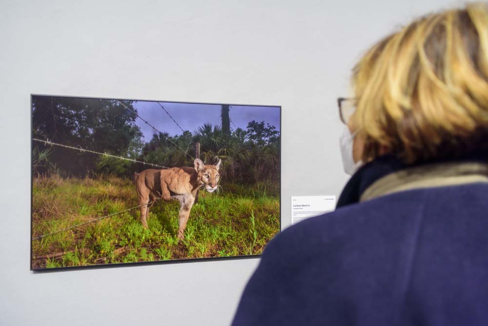 Výstava World Press Photo 21 ve vídeňské galerii WestLicht ještě do 7.11.2021