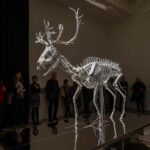 DOX-KAFKAesque – kafkovské ozvěny v dílech současných umělců