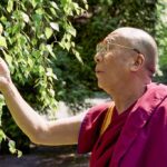 Tibetský 14.dalajláma oslovuje diváky ve filmovém dokumentu Moudrost štěstí