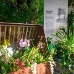 Orchideje ve skleníku Fata Morgana zahajují letošní sezónu pražské Botanické zahrady